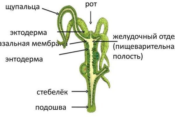 Наркоплощадки кракен